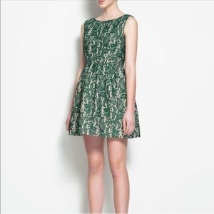 NWOT Zara lace overlay tulip dress